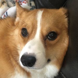 Meet your Posher, Madi